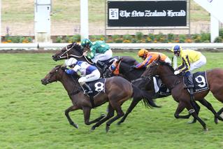 Hasahalo claims the Eclipse Stakes. Photo: Trish Dunell